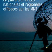 Guide pratique de mise en place d’alliances nationales et régionales efficaces sur les MNT - En Français