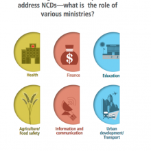 Advocacy Docket: Whole-of-government response to address NCDs—what is the role of various ministries?