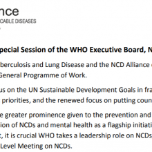 Statement at the Special Session of the WHO Executive Board, November 22-23