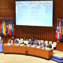 Countries of the Americas agree to promote health in all public policies 