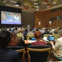 RAN de la ONU sobre ENT: Destacados para la acción nacional y regional