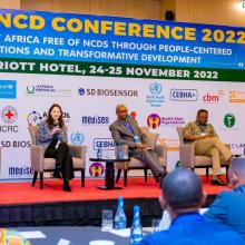 Conferencia de Ruanda
