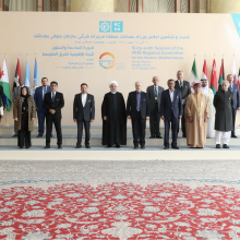 La Alianza de ENT Irán llama a los Estados miembros de la RMO de la OMS para que actúen sobre las ENT