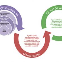 Global NCD Framework Campaign
