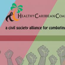 Healthy Caribbean Coalition announces strategic priorities for the next five years