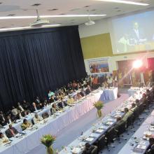 African Health Ministers adopt Brazzaville Declaration on Noncommunicable Diseases 