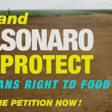 Petition: Restore full powers of Brazilian food and nutrition body