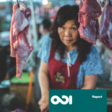 ODI publishes 'Future Diets' Report