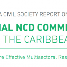 Healthy Caribbean Coalition launches civil society report on National NCD Commissions