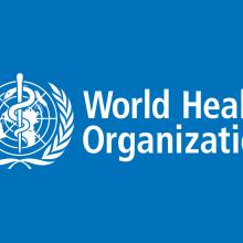 WHO Proposal for Health Goals and Targets in SDGs