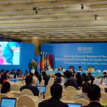 Scaling up action on NCDs in the South-East Asia region
