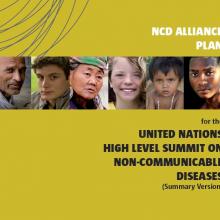 NCD Alliance Launches Plan for UN NCD Summit
