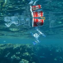 Coca-Cola sponsoring COP27 and diabetes