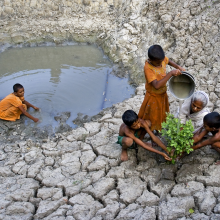A grandmother and her grandchildren plant a tree in a drought-stricken rural area of West Bengal, India. 