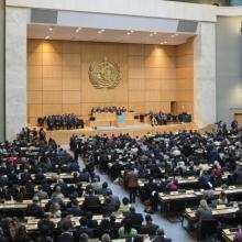 NCDs front & centre at WHA: A summary, and invitation to our next webinar!