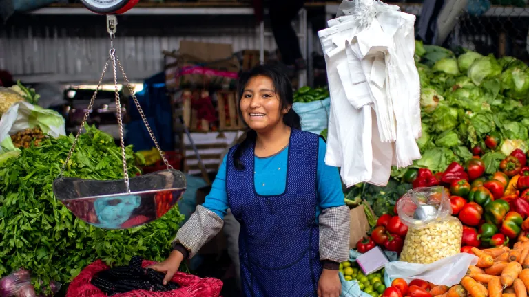 Woman selling fruit and vegetables in a market in Peru