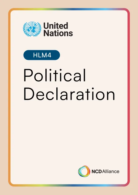 HLM4: Political Declaration