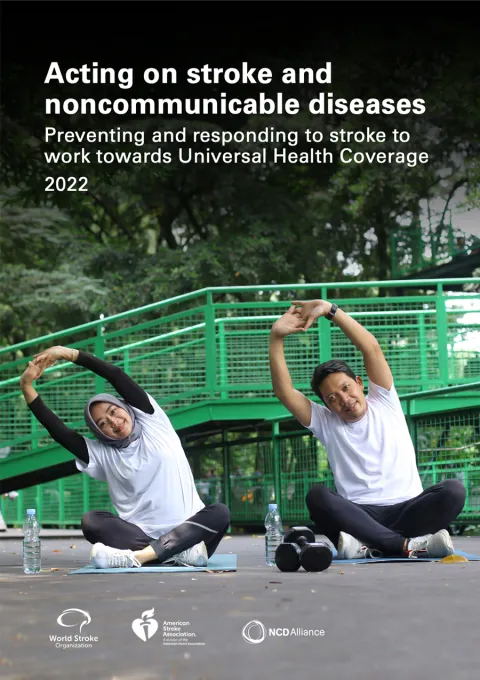 Acting on stroke and noncommunicable diseases Policy brief Cover
