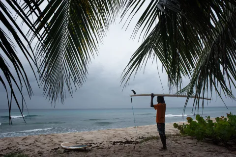 surfer in Barbados
