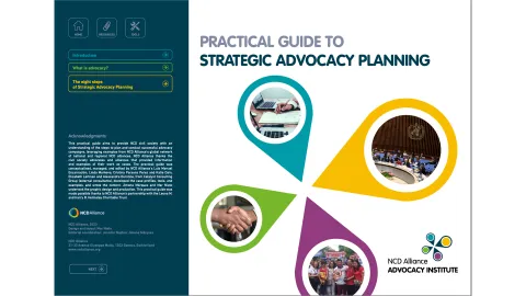 Strategic advocacy Practical guide Cover
