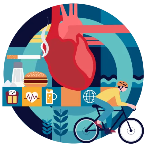 cardiovascular disease illustration
