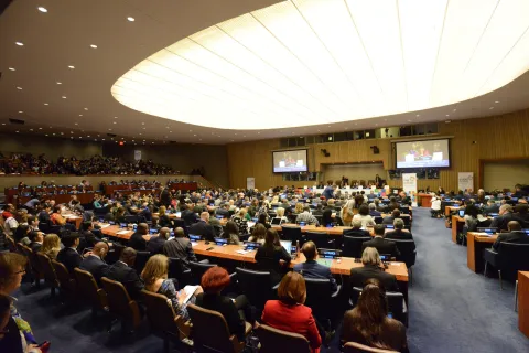 Plenary session at the UN HIgh-Level Meeting on NCDs in 2018