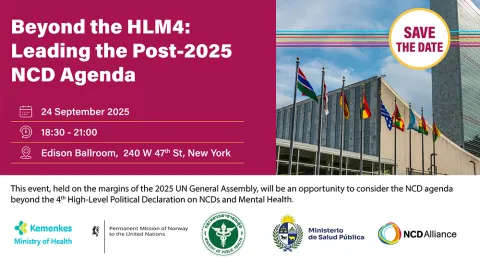 UNGA80 Beyond HLM4 event invitation banner