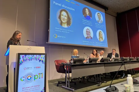 NCDA Policy & Advocacy Director Alison Cox speaking at a COP11 side event co-hosted by NCDA.