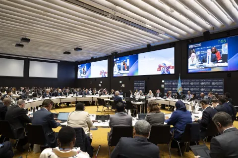 Delegates from member states and civil society at WHO EB158 in Geneva