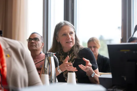  NCDA Policy Director Alison Cox at WHA 79 in Genenva