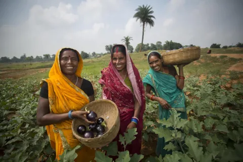 Jake Lyell Geeta Devi, Sumitra Devi and Mina Devi are farmers in the Banka District of Bihar, one of the poorest districts in India 