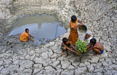 A grandmother and her grandchildren plant a tree in a drought-stricken rural area of West Bengal, India. 