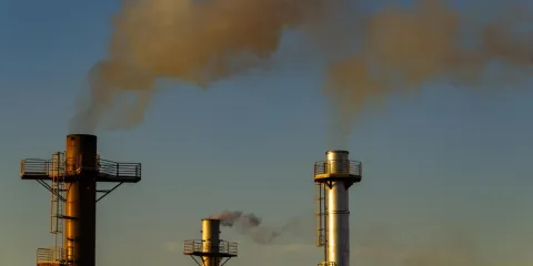 People_profits_health-The_Lancet-News