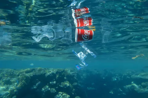 Coca-Cola sponsoring COP and diabetes