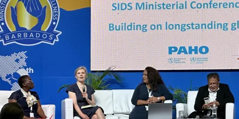 Panellist speaking on stage at NCD advocacy event on SIDS