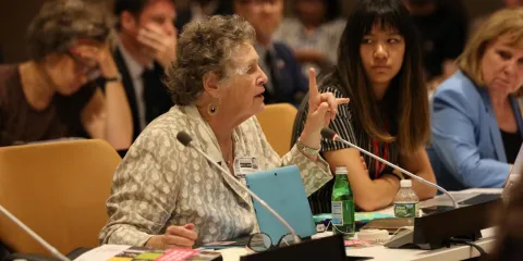 Vicki Pinkey Atkinson speaks at UN Interactive Hearing on NCDs in New York, July 2018.