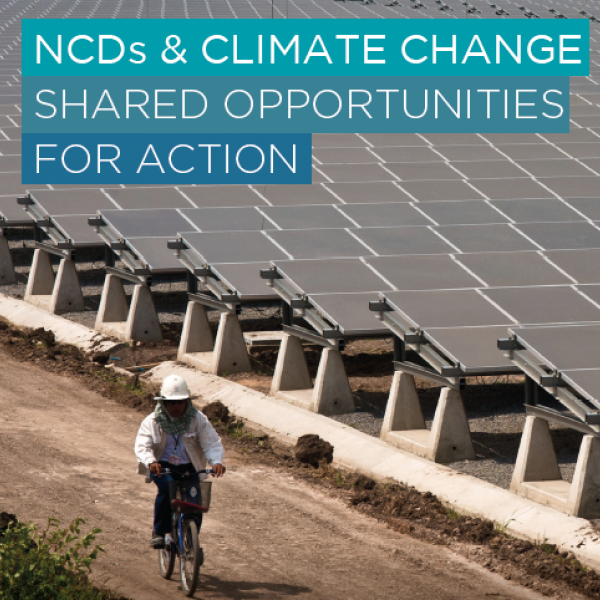 NCDs and Climate Change policy brief 