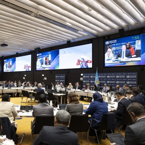 Delegates from member states and civil society at WHO EB158 in Geneva