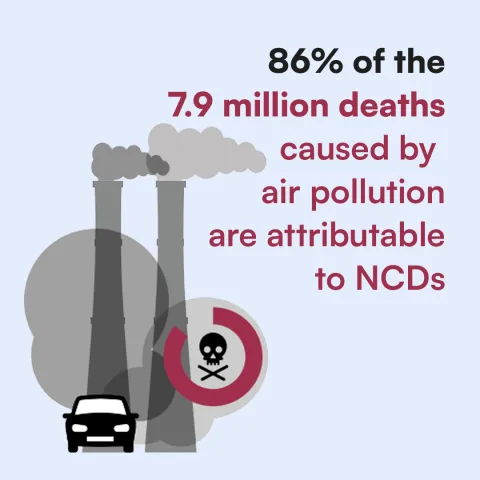 Banner linking air pollution to NCD deaths