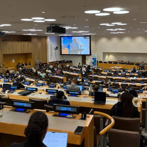 Governments gathering for a high-level meeting