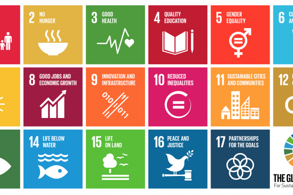 2030 Agenda: Follow-up and review