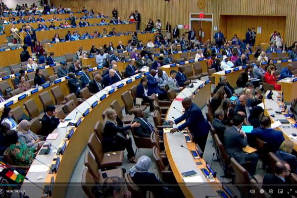 La reunión de alto nivel de la ONU sobre la cobertura sanitaria universal no cumple con sus compromisos